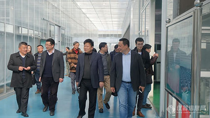 上海市農科院院長蔡友銘一行蒞臨AgriPheno平臺調研，推動互聯網數據服務與農業科技融合